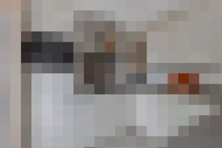 Wendakker 68 Nagele thumbnail 28