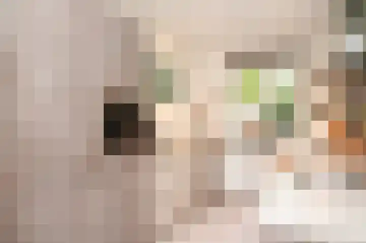 Wendakker 68 Nagele thumbnail 29