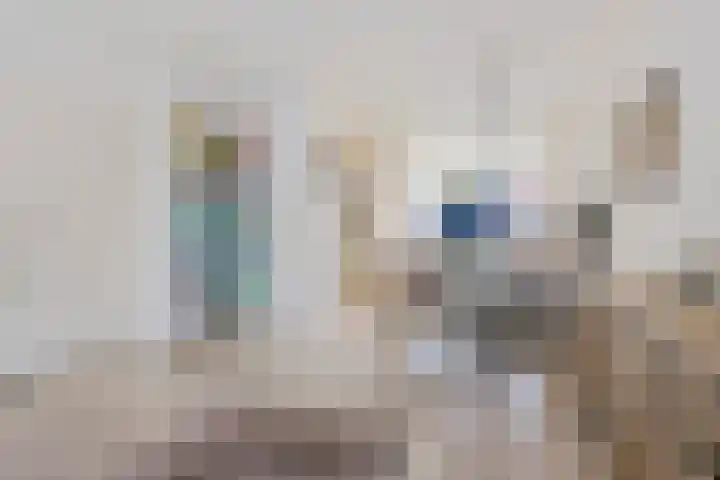 Wendakker 68 Nagele thumbnail 31