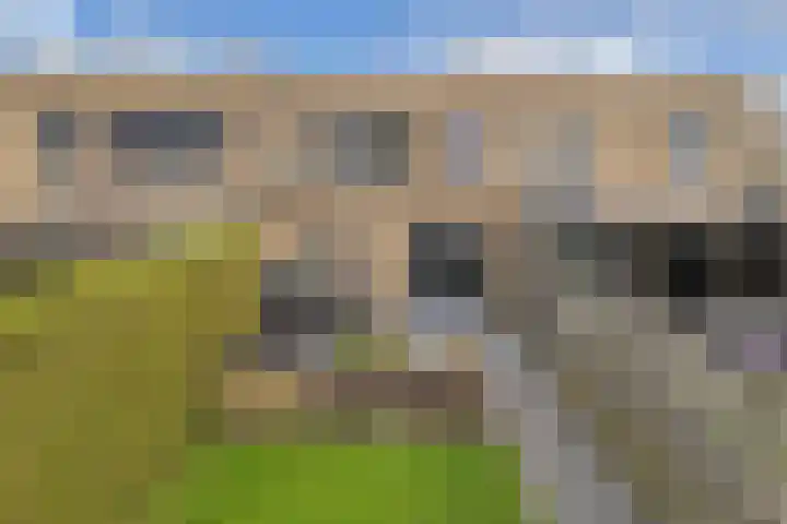 Wendakker 68 Nagele thumbnail 35