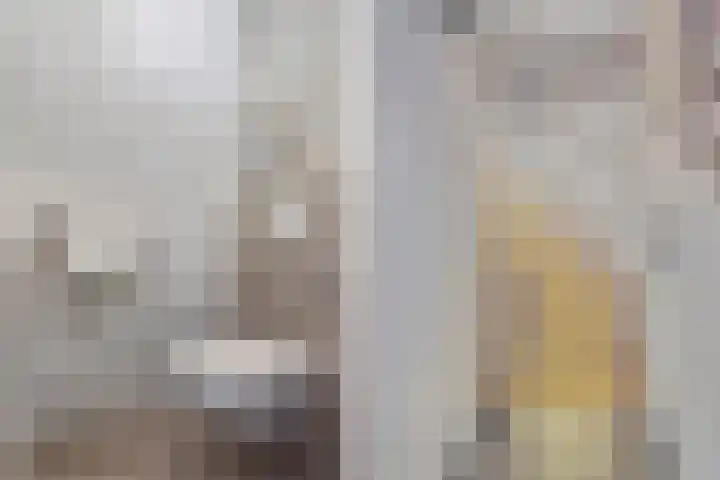 Wendakker 68 Nagele thumbnail 39