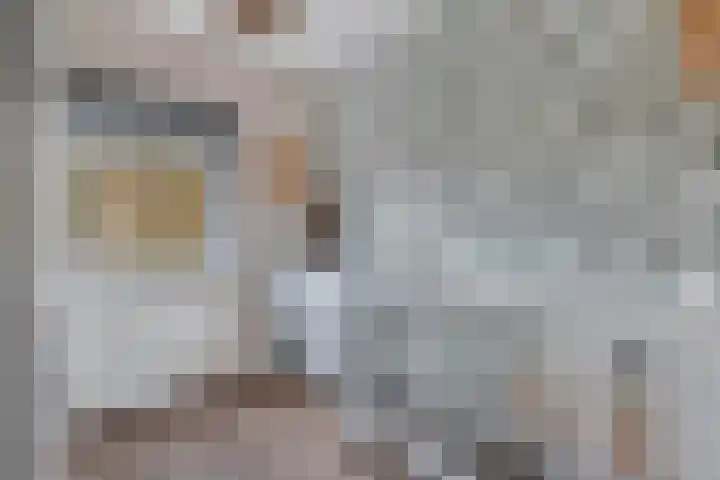 Wendakker 68 Nagele thumbnail 47