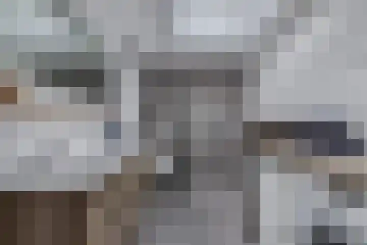 Wendakker 68 Nagele thumbnail 49