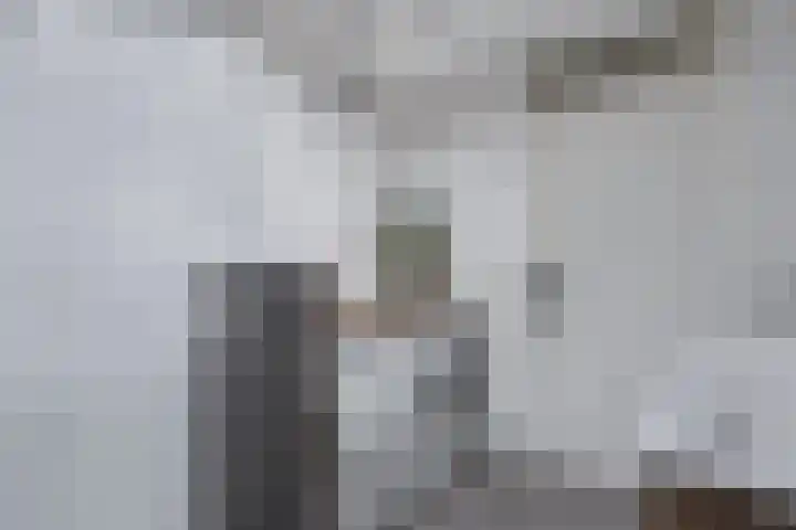 Wendakker 68 Nagele thumbnail 53