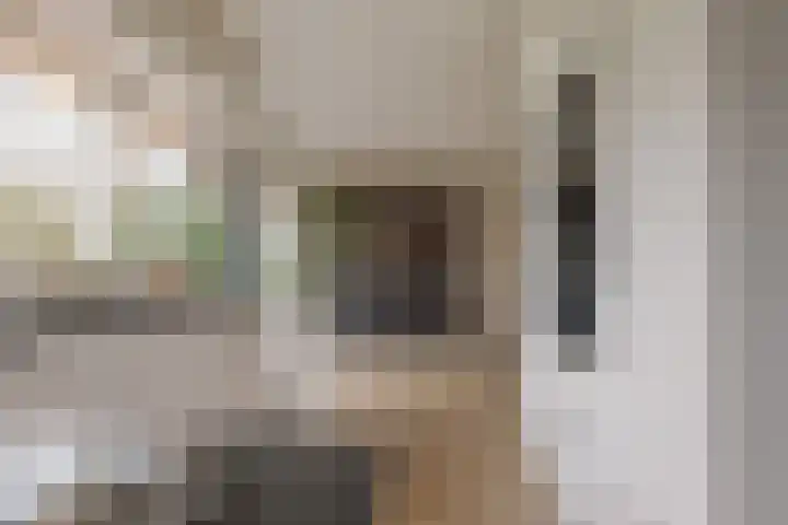 Wendakker 68 Nagele thumbnail 8