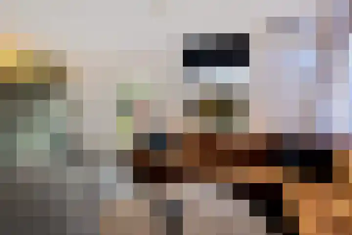 Wendakkers 34 Dalen thumbnail 13