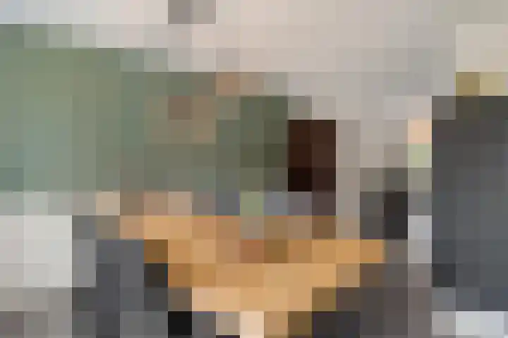 Wendakkers 34 Dalen thumbnail 16