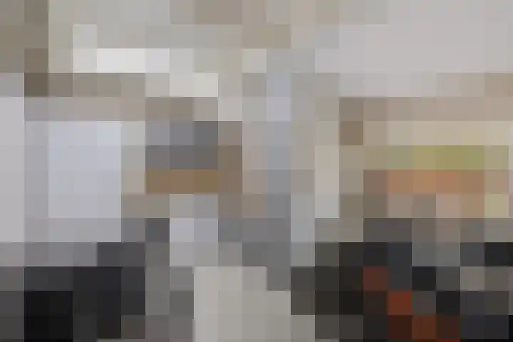 Wendakkers 34 Dalen thumbnail 20