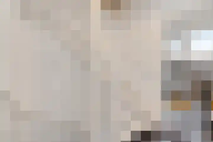 Wendakkers 34 Dalen thumbnail 22