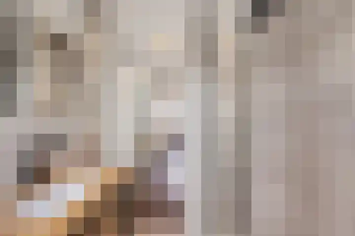 Wendakkers 34 Dalen thumbnail 26