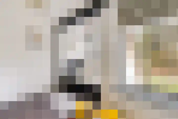 Wendakkers 34 Dalen thumbnail 30