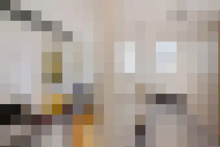 Wendakkers 34 Dalen thumbnail 31