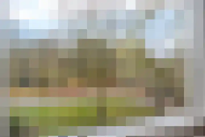Wendakkers 34 Dalen thumbnail 37