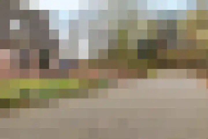 Wendakkers 34 Dalen thumbnail 4