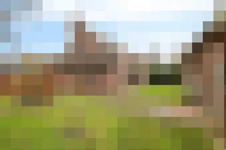 Wendakkers 34 Dalen thumbnail 45