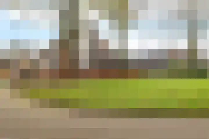 Wendakkers 34 Dalen thumbnail 47
