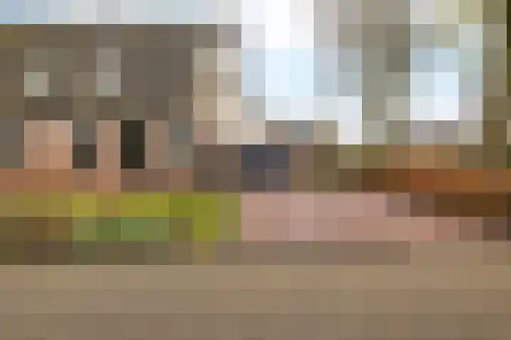 Wendakkers 34 Dalen thumbnail 6