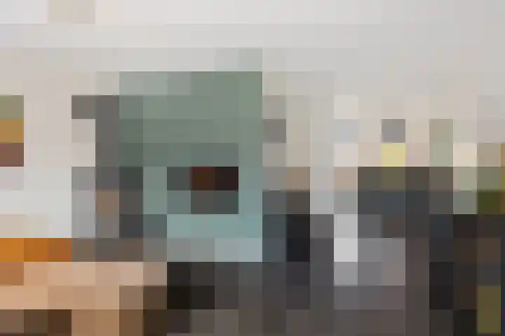 Wendakkers 34 Dalen thumbnail 9