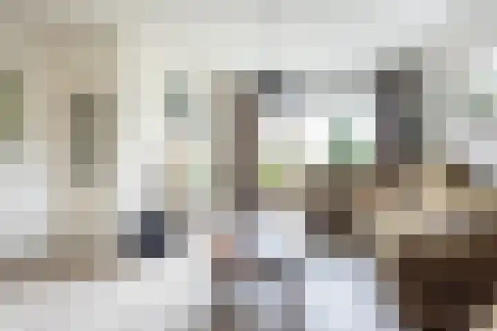 Wendelenkamp 86 Dinxperlo thumbnail 12