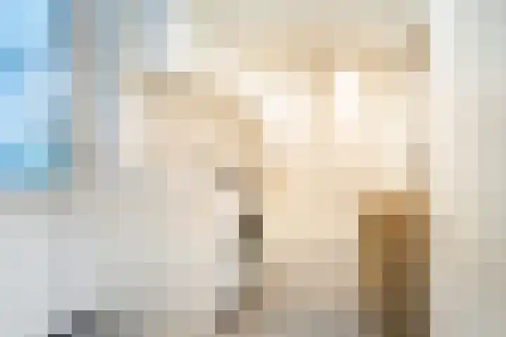 Wendelenkamp 86 Dinxperlo thumbnail 23