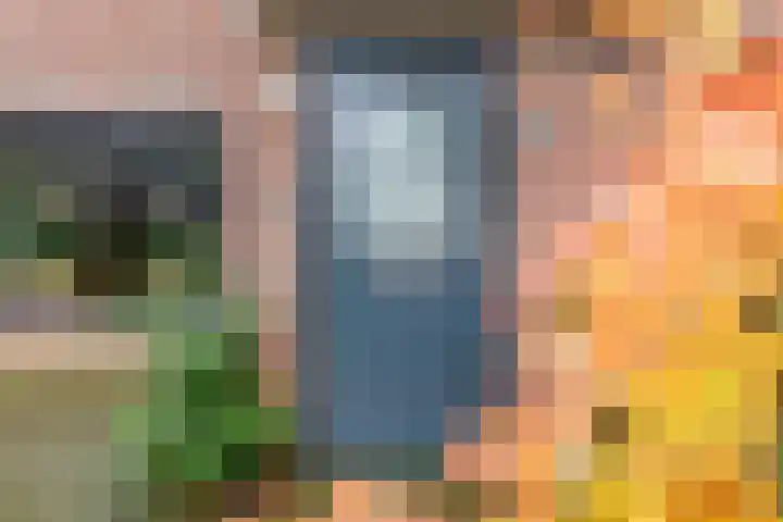 Wendelenkamp 86 Dinxperlo thumbnail 7