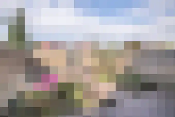 Wenduinepad 12 Eindhoven thumbnail 29
