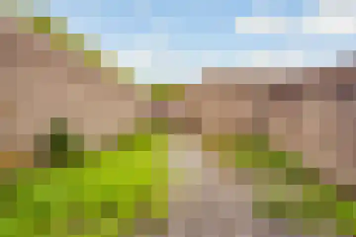 Wenenpad 16 Almere thumbnail 30