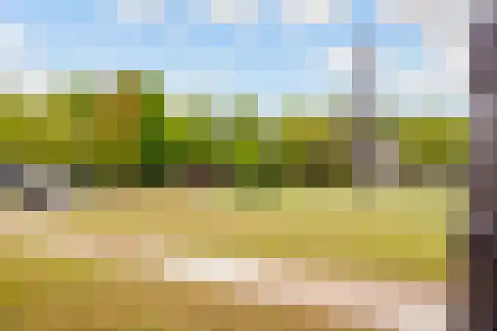 Wenenpad 16 Almere thumbnail 36