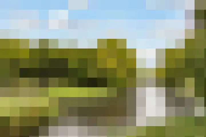 Wenenpad 16 Almere thumbnail 38