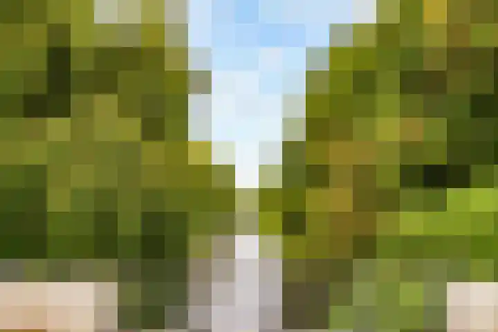 Wenenpad 16 Almere thumbnail 39