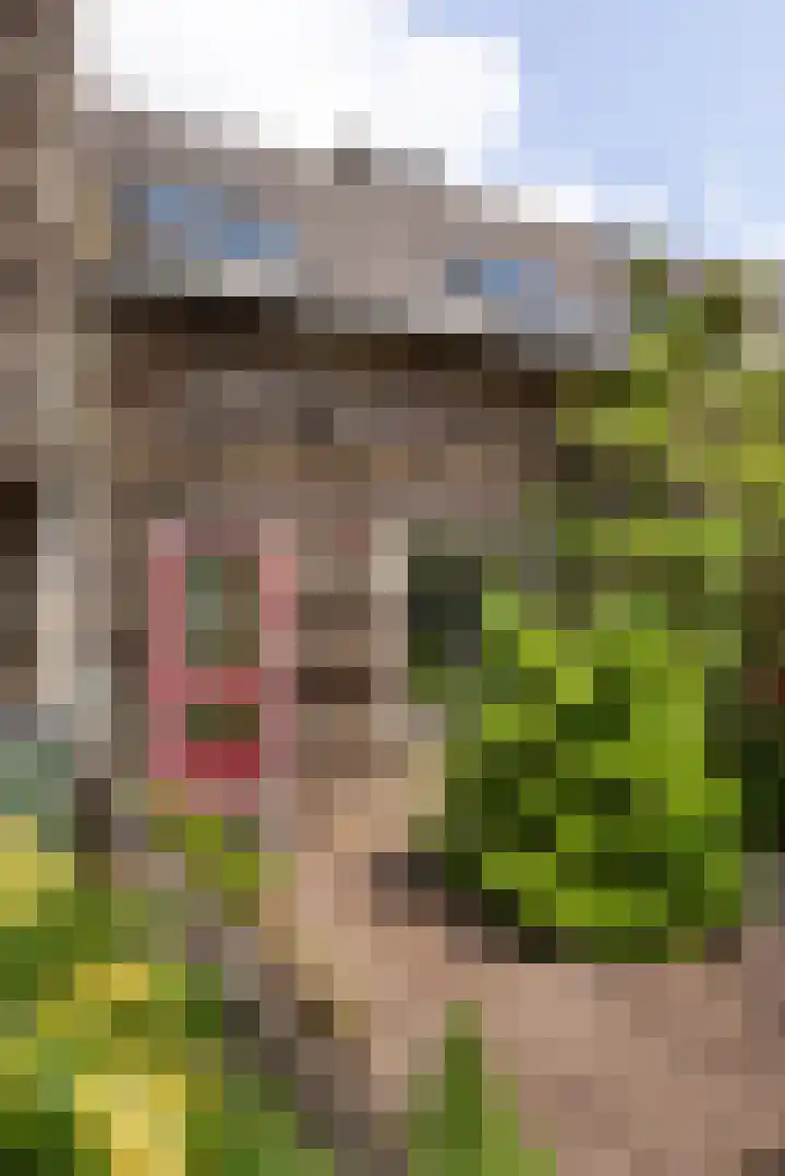 Wenenstraat 18 Haarlem thumbnail 26