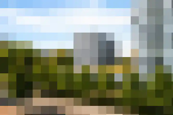 Wenning 30 Emmen thumbnail 31