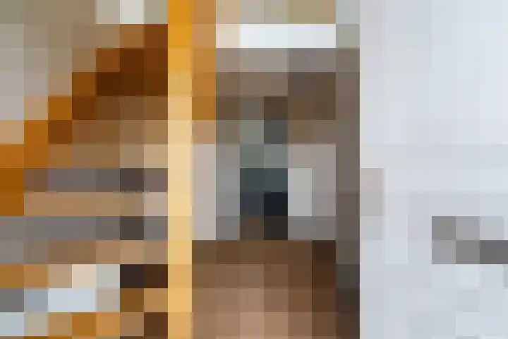 Wenpad 8 Poeldijk thumbnail 10