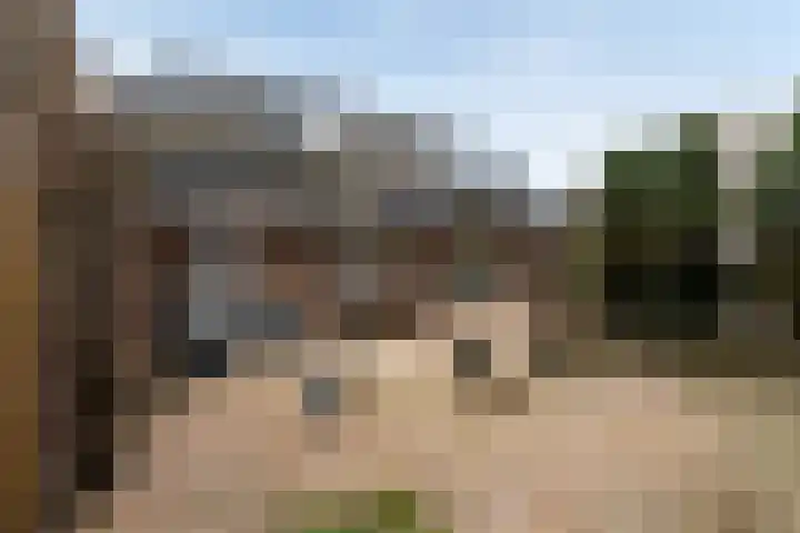 Wenpad 8 Poeldijk thumbnail 19