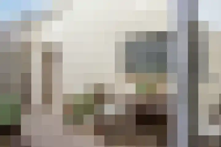 Wenpad 8 Poeldijk thumbnail 20