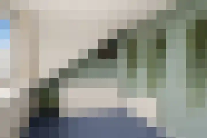 Wenpad 8 Poeldijk thumbnail 26