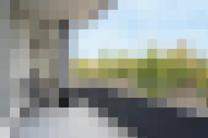 Wenpad 8 Poeldijk thumbnail 29