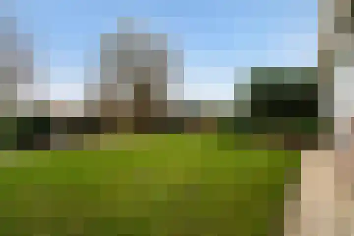 Wenpad 8 Poeldijk thumbnail 45