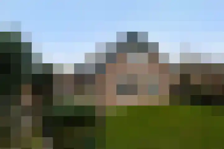 Wenpad 8 Poeldijk thumbnail 46