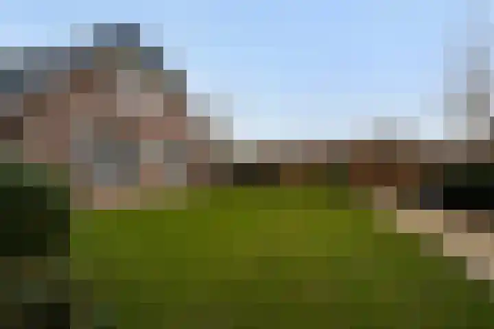 Wenpad 8 Poeldijk thumbnail 47