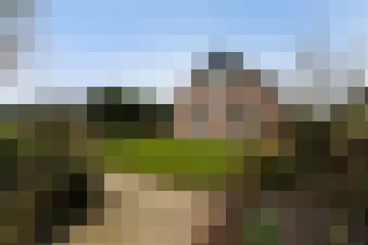 Wenpad 8 Poeldijk thumbnail 48