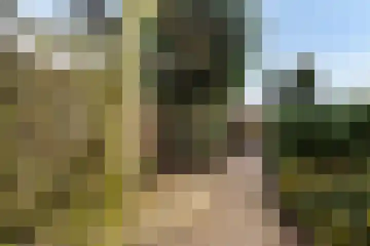 Wenpad 8 Poeldijk thumbnail 49