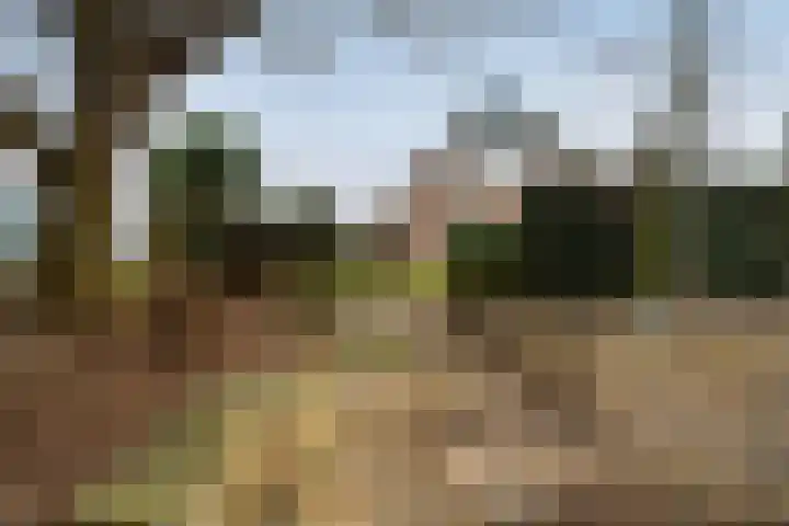 Wenpad 8 Poeldijk thumbnail 50