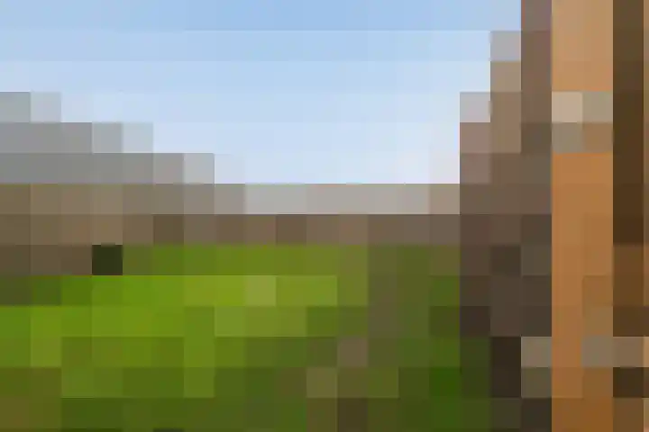Wenpad 8 Poeldijk thumbnail 51