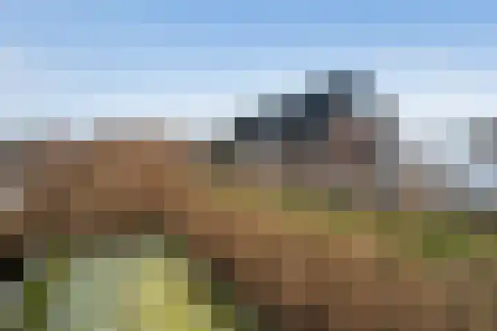 Wenpad 8 Poeldijk thumbnail 54