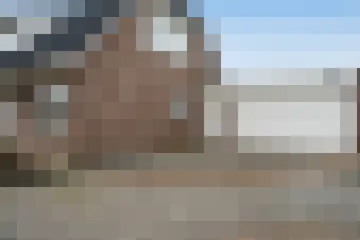 Wenpad 8 Poeldijk thumbnail 55