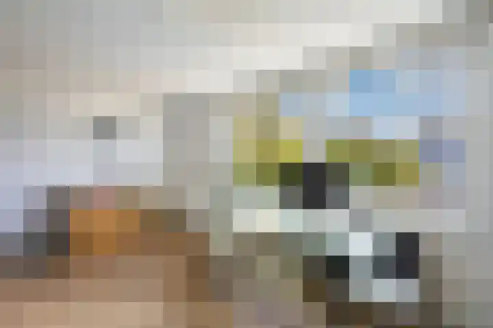 Wenpad 8 Poeldijk thumbnail 61