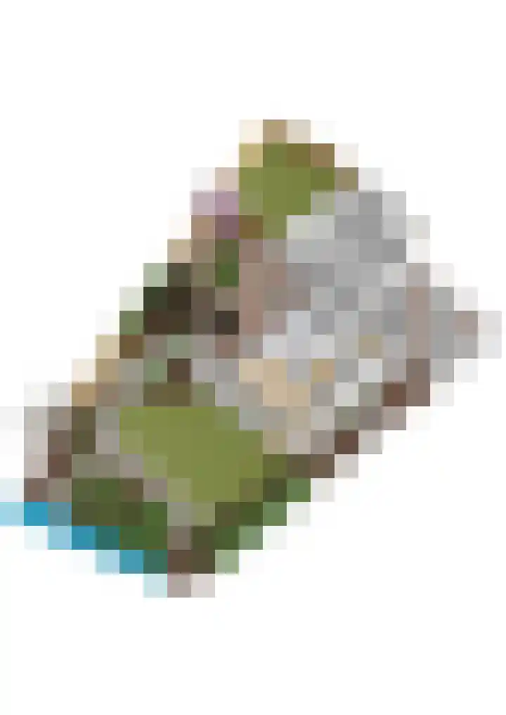 Wenpad 8 Poeldijk thumbnail 62