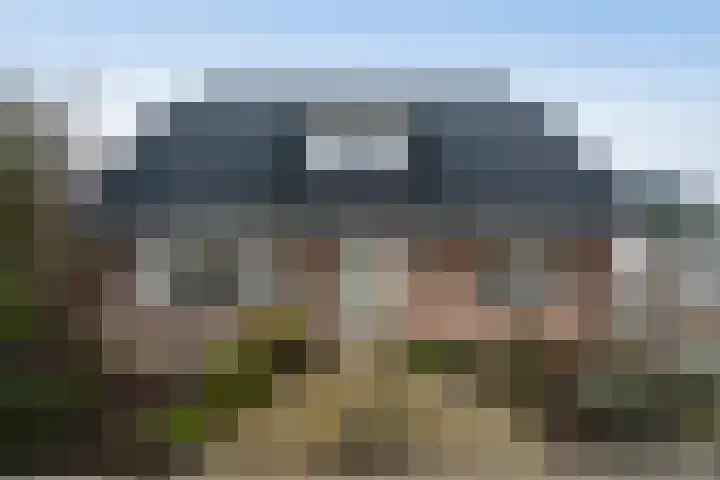 Wenpad 8 Poeldijk thumbnail 7