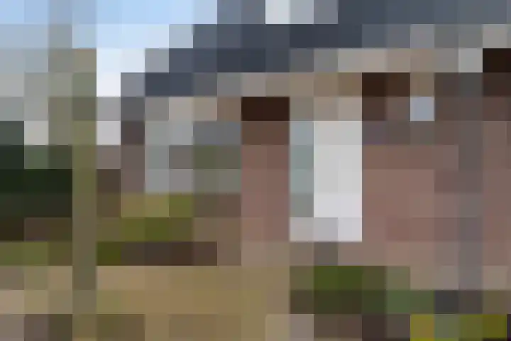 Wenpad 8 Poeldijk thumbnail 9